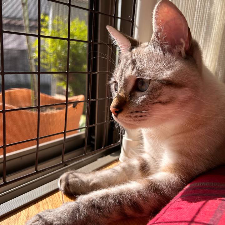 832440d5 6ffb 4b8a adac aae0ae26f844 1762765622223