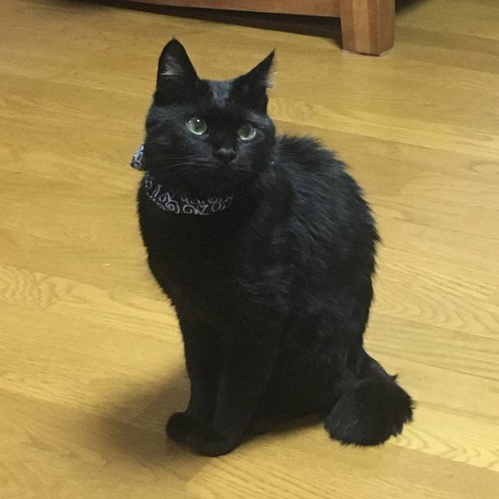 83246880 2d16 44f6 8bdf 123962867d78 1536834523010