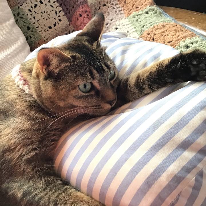 83246c53 9b2e 420b a9e2 83e4146cf618 1650846471598