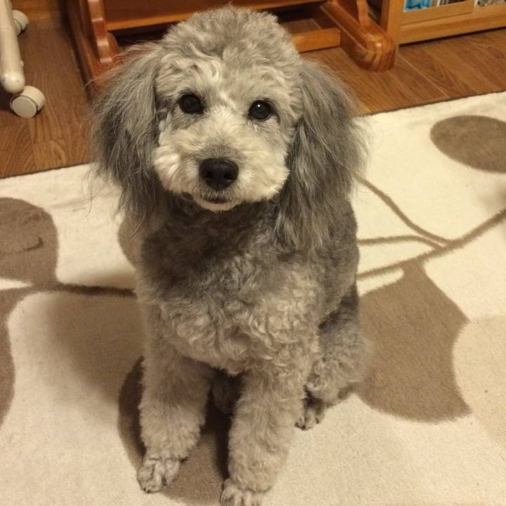 832484d3 b34d 4991 82e2 8f9778717d16 1763376243465