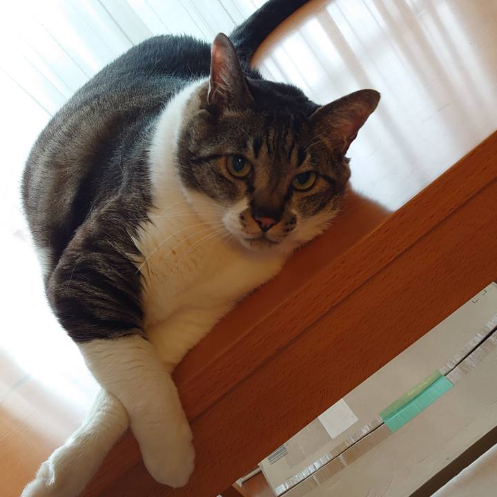 832492cc 93a6 4ba3 a171 d5bb19eed264 1659409882551