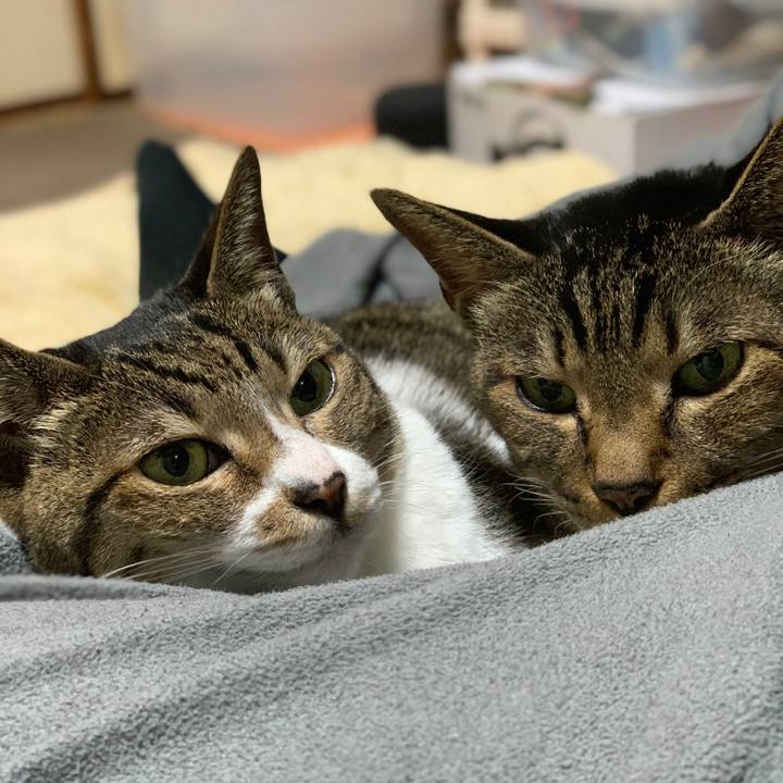 8325039b 62b3 4d59 bb9e 60e478b8f607 1578445805458