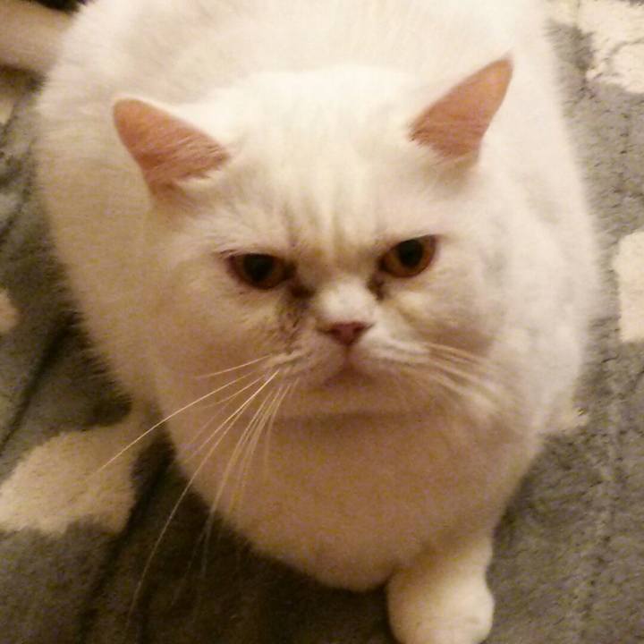 83251210 cad0 44ee ae61 b2addecffe8e 1572855242074