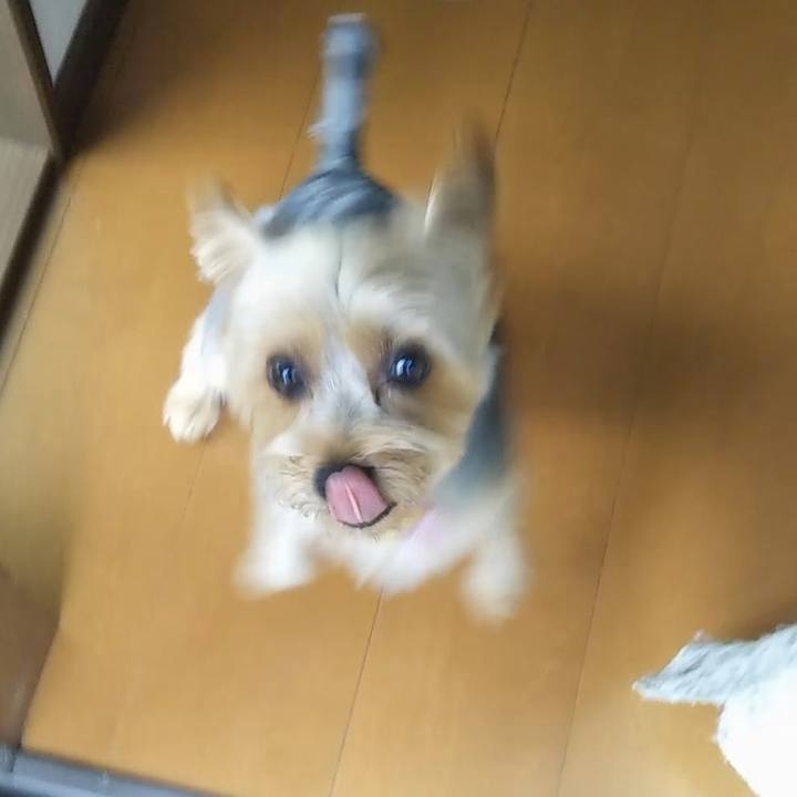 8325260f b1e1 466e a361 7b38c9f4adea 1629959826437