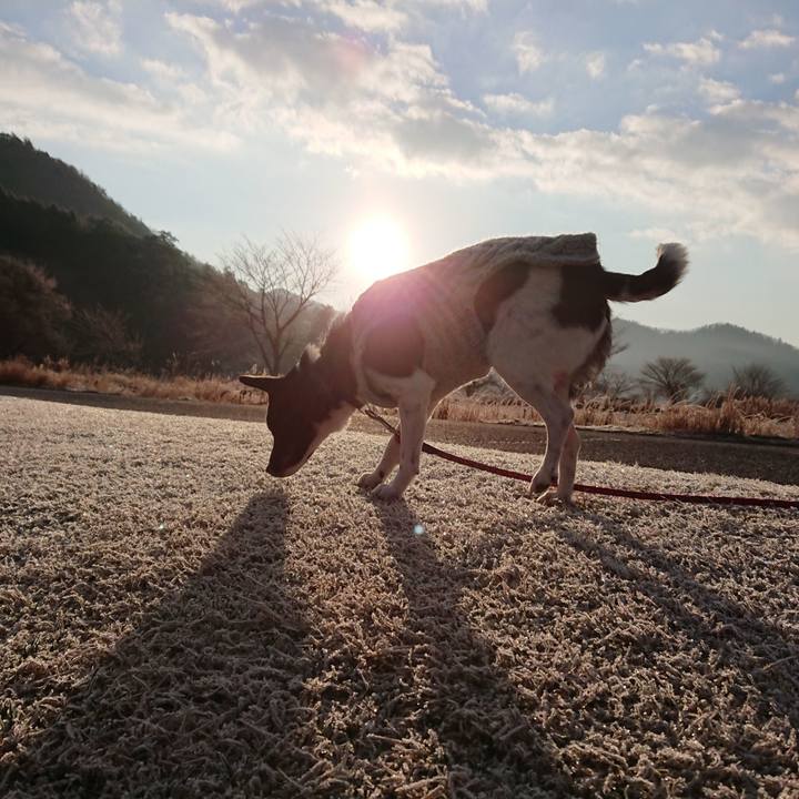 83256b6e 6b5c 4c78 b2a5 d42124425813 1645744654359