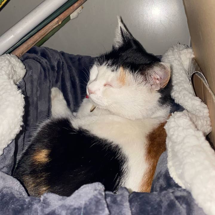 83258e72 ecbb 480d 83be 0126a1c05b5b 1640690467449