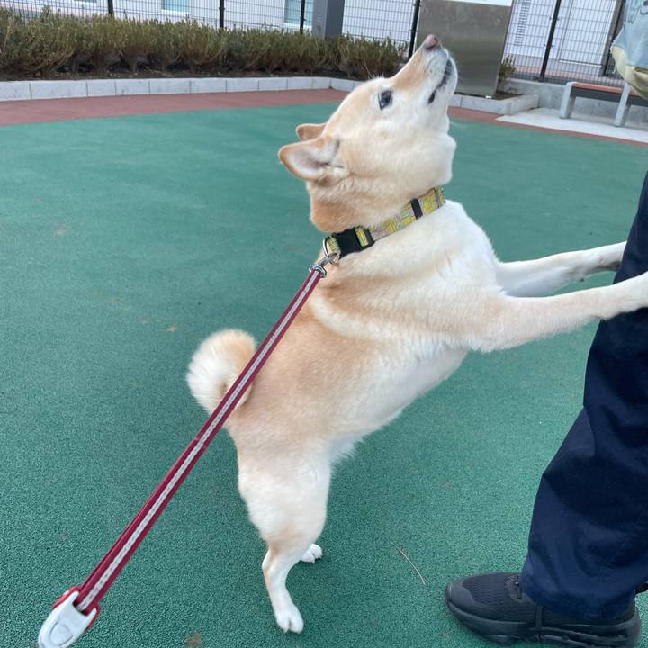 8325a1ee 9e6a 4060 9d29 a125df5ee666 1735384561871