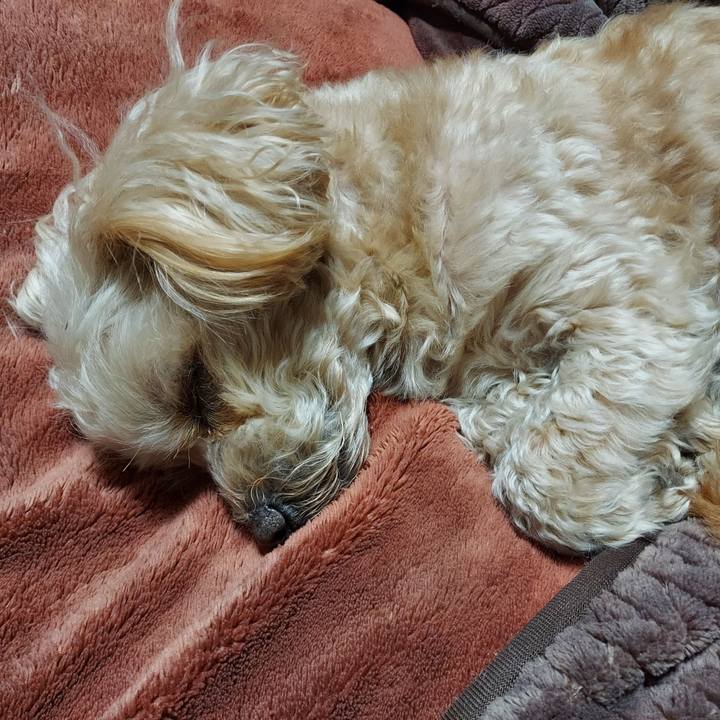 8325c654 2571 426f 9e95 eb5b2ac664bd 1645352625791