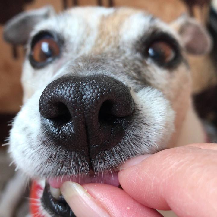 8325de40 24c8 4dd8 9f92 6f15d7c9a8e6 1523626824103