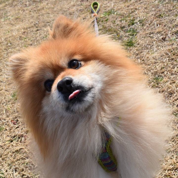 83260c49 f7da 4426 9055 a0823710e36a 1582265088944