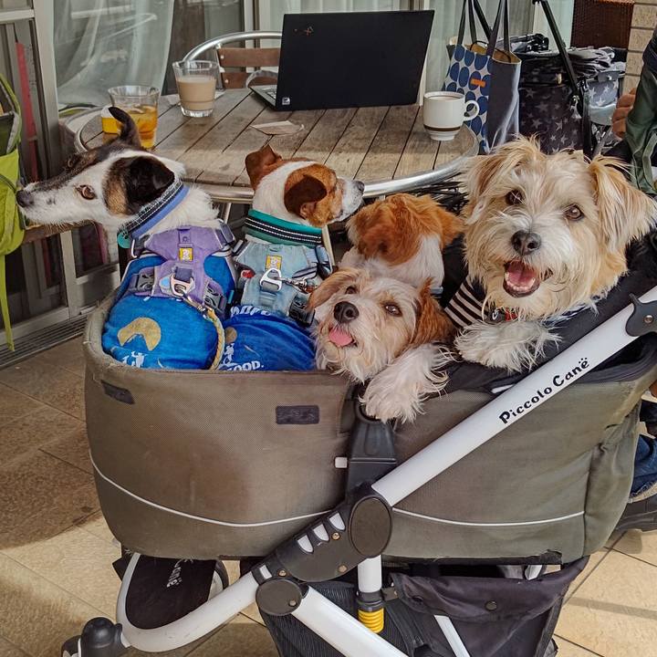 832642d4 3805 41a5 86eb fadb05f3a6d7 1716465181362