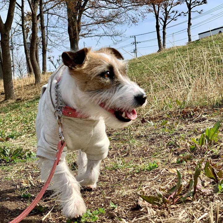 83264c75 296b 473d 8d36 be12d346fc40 1615966835494