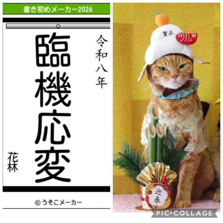 8326914a ede0 4c39 ac95 6644cbbf6da9 1767754982943