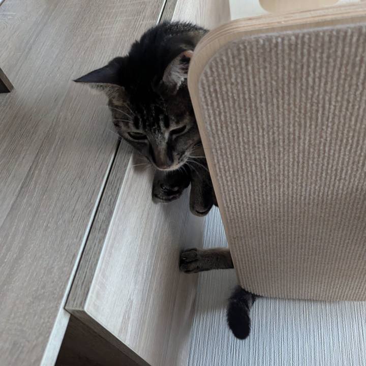 8326a4dd 5de3 4843 940c 2e279ab45bff 1725100920163