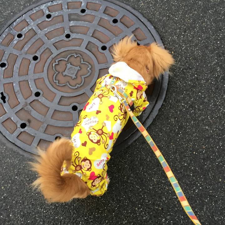 8326f053 a5a5 45a3 a2e0 3e098758e2f1 1686527556800