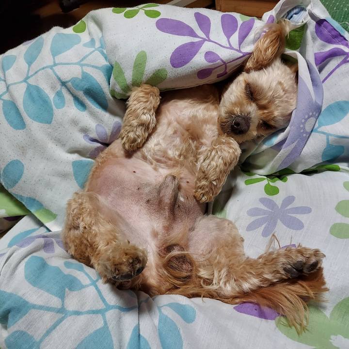 8326fac2 780e 4bb6 a79d 350a5413ef0b 1649421727880