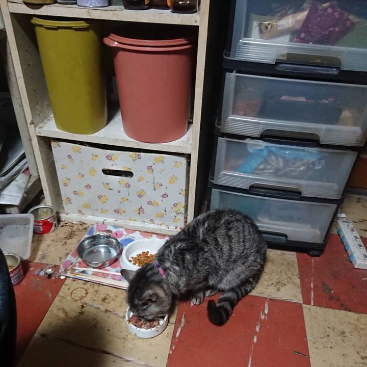 83276ba0 74d9 4c76 987f f3d4d89dd724 1584561808599