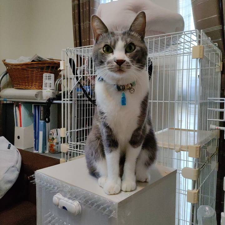 832781f4 403e 4b8f a452 c4337ad0c14e 1700651642615