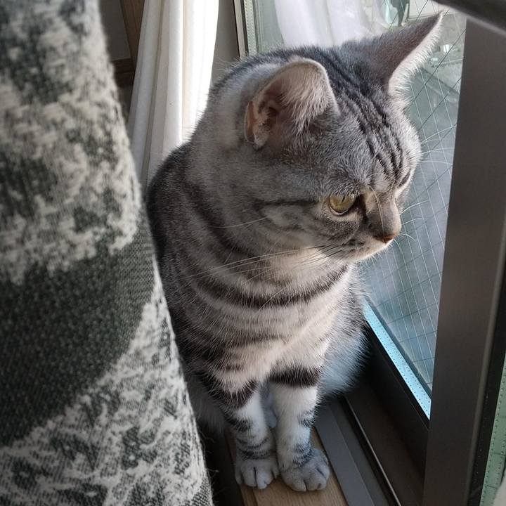 832782a5 d0d6 4f44 a780 b8438a6ff0a2 1726653934186