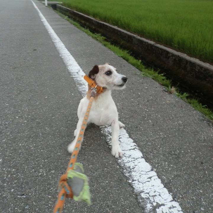 83279bbe 4bd1 484f ace5 b957eb351bed 1561990008019