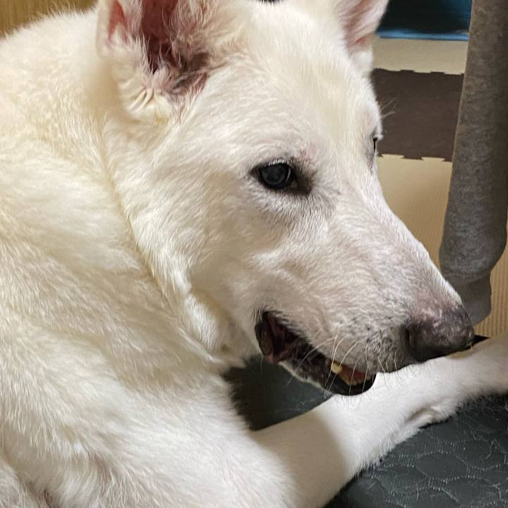 83282756 f0a1 422b b17f e8b2bd4e2e96 1664940968532