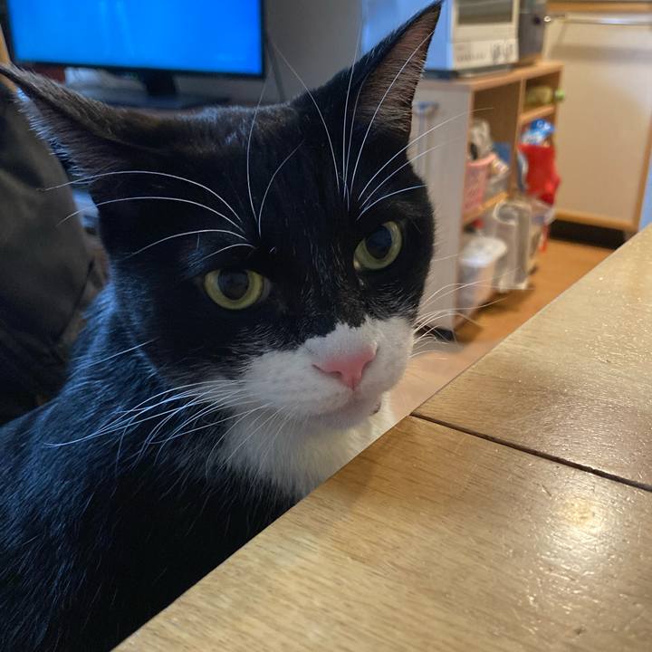 83283bdb 53a2 4014 9200 984f4854d862 1673432210064