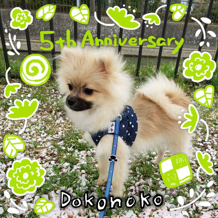 83286615 2420 42b6 a461 9cf96c956d34 1622865698026