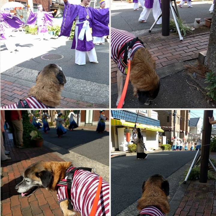 832890a8 174f 4fdf 9569 6bcaab05f92f 1535262235925