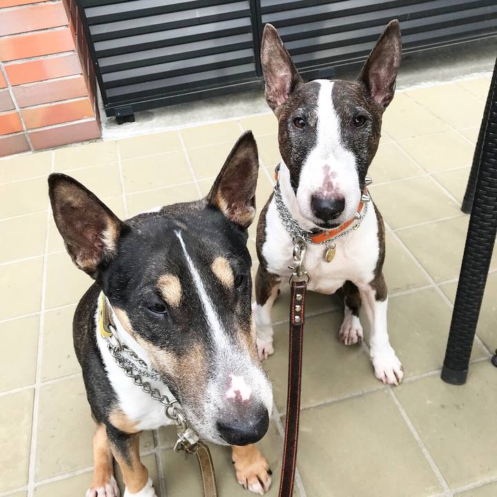 8328cdda ba99 4d1a acbd ffda84153eda 1521368320754