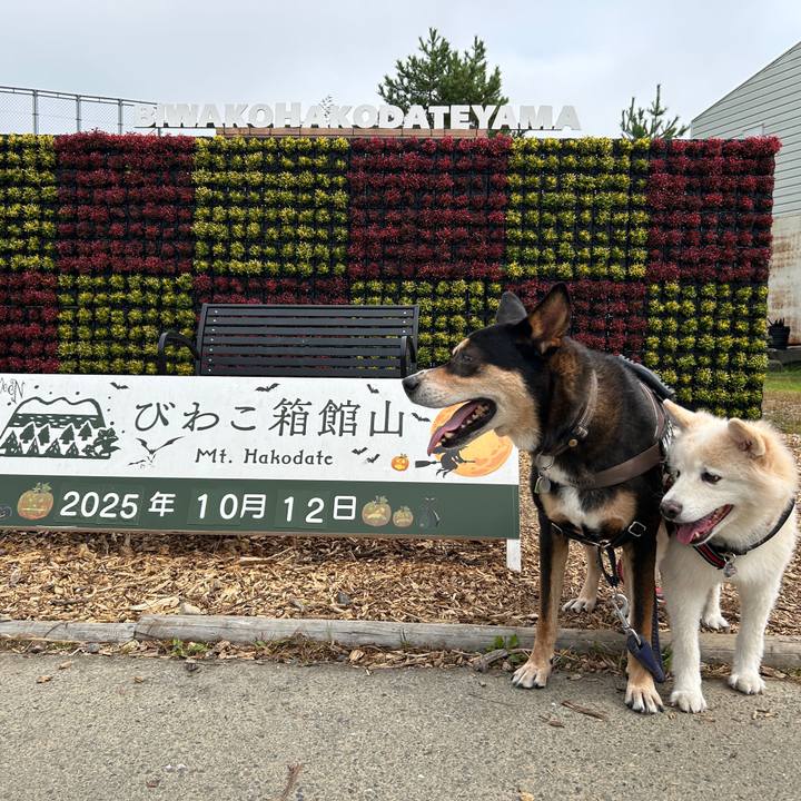 8328d006 9021 4ae7 9439 d3f7964b3f7f 1760360013219