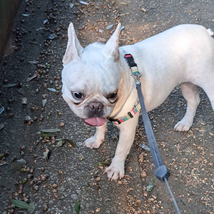 8329015b 6cc1 4446 936b 8e8cb91e74b6 1696554841471