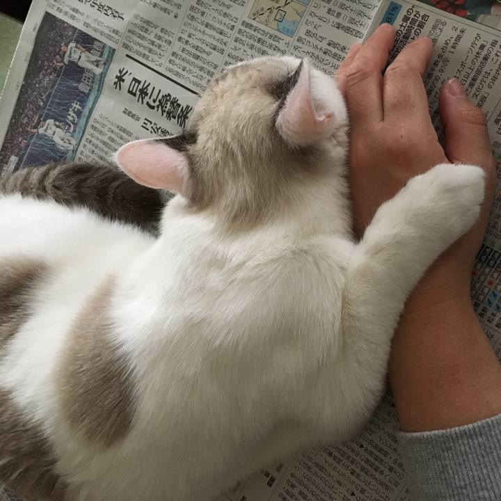 832902d2 ff5b 47d6 b08f ff705d0ebe6f 1539564879098