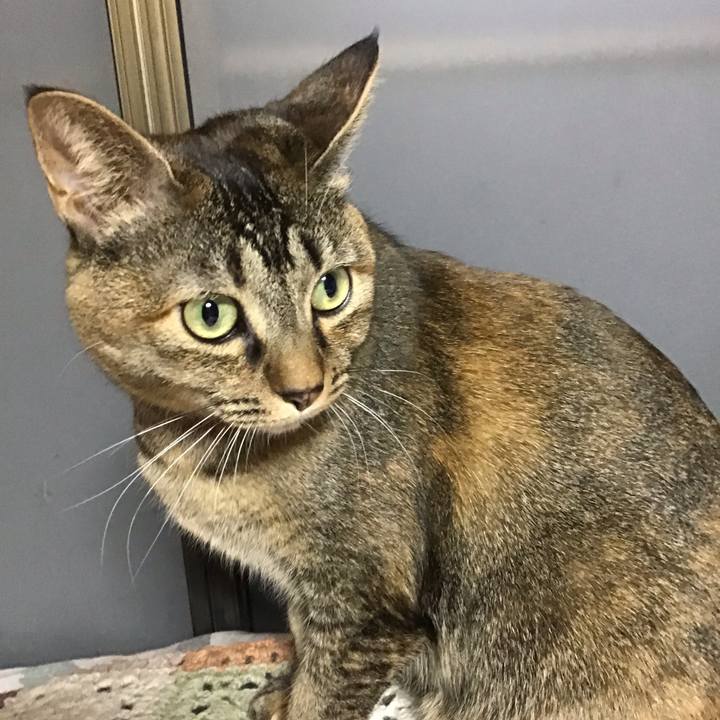 832912db af98 4214 80d0 78266a2d9b72 1643319760420