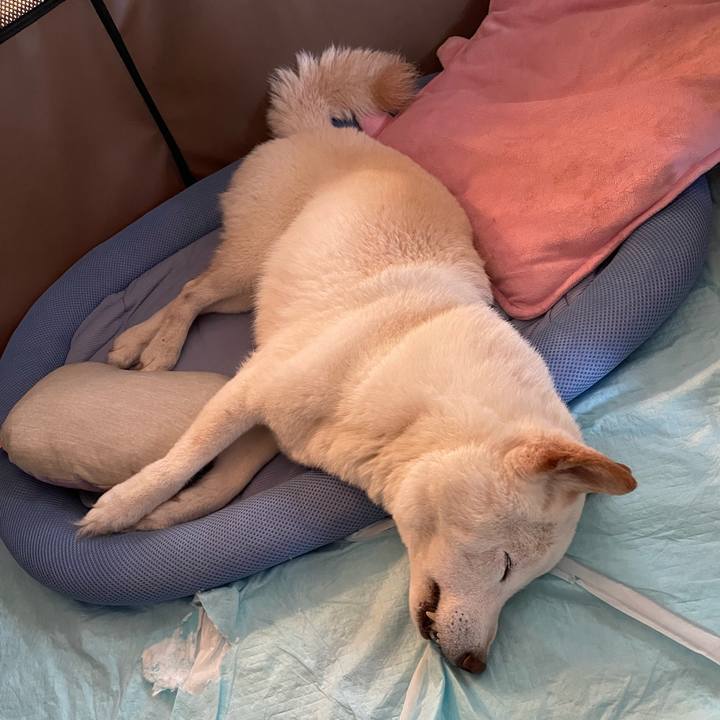 83293f5f e804 49eb a304 89121b98aa19 1655129638315