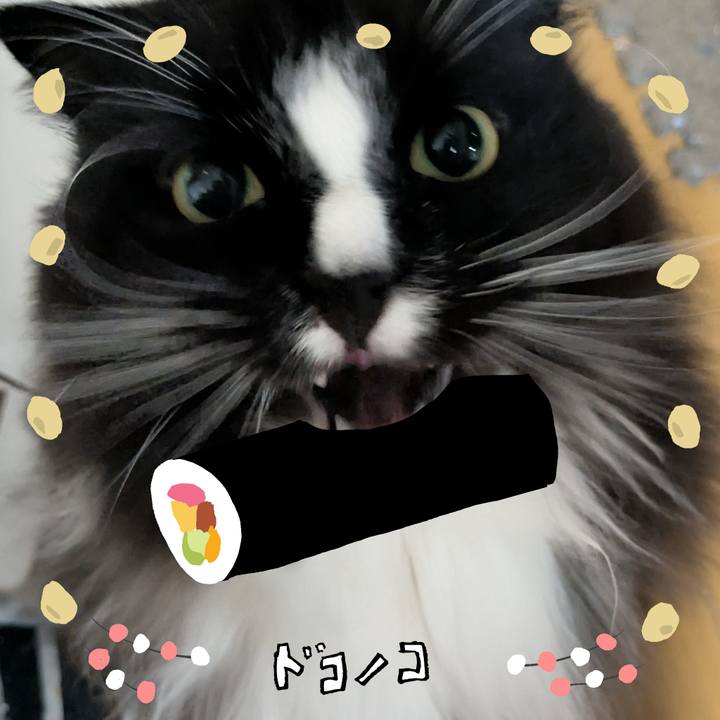 83294f0d 2ae0 42ee 83a3 802673b4c497 1741074760782