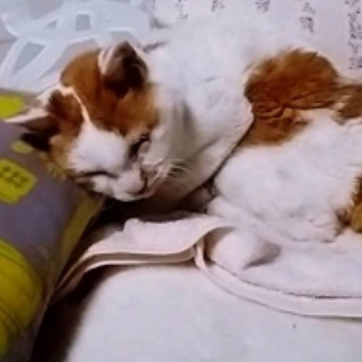 832978e2 2b8c 4957 9172 a9458cec579f 1606645902674