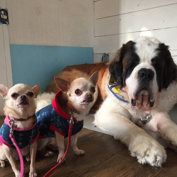 832989c9 b040 4fd4 a19b b2a17b9bbd01 1522325912601