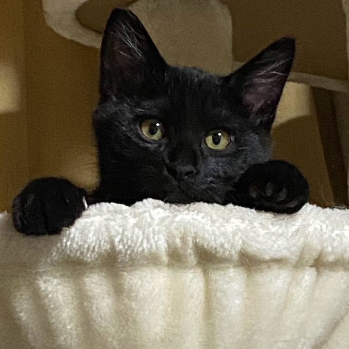 83298a42 aa09 4e1e 8b75 a67b899943a7 1763992772892