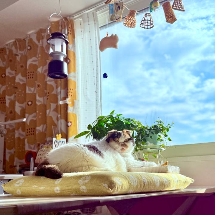 8329d487 dbab 40d2 9080 89e80343b960 1752122945106