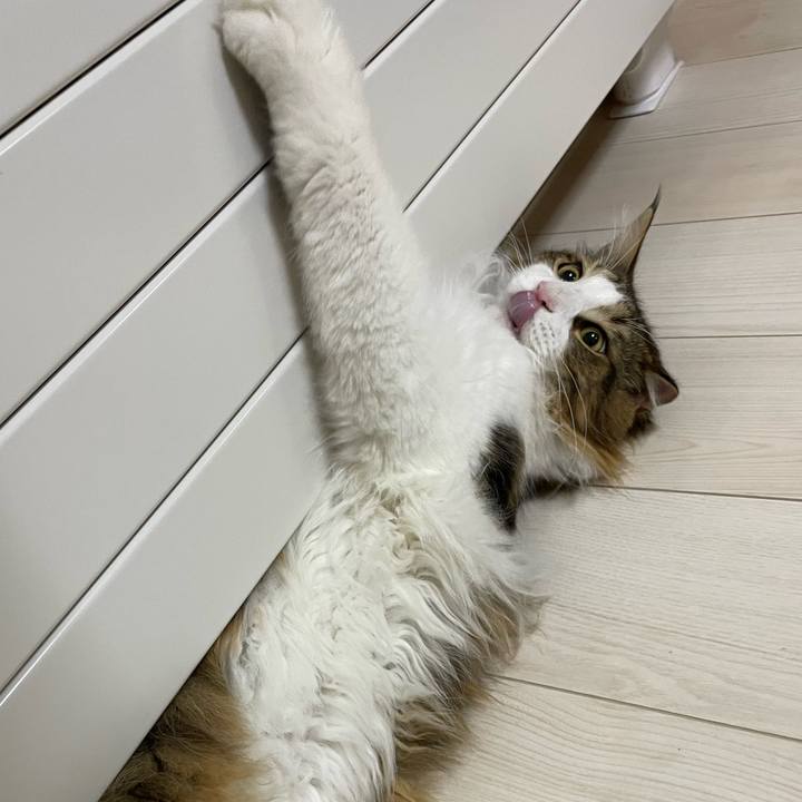 8329daa1 4437 42f4 9a56 55f42f68b44b 1652872587507