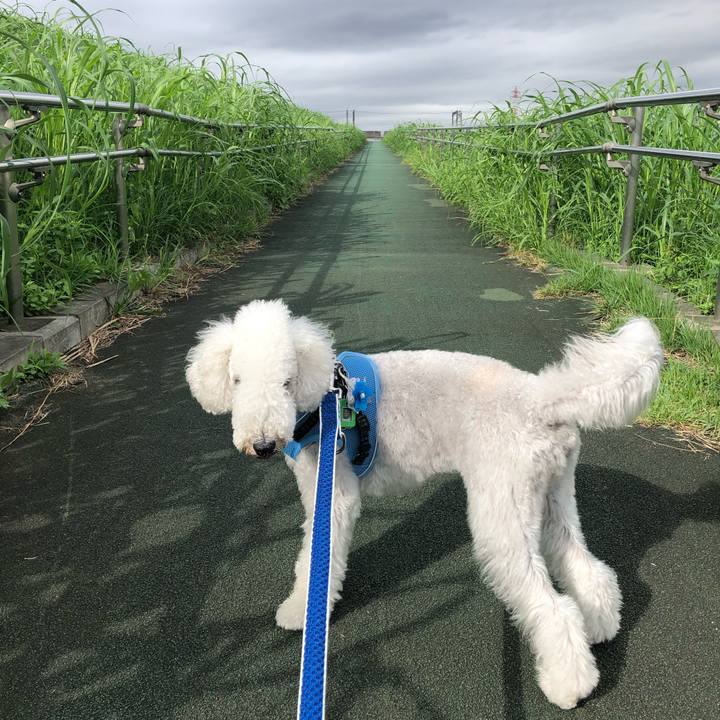 8329ddb0 bc1d 4c2f b8fa 098909c49759 1600483321495