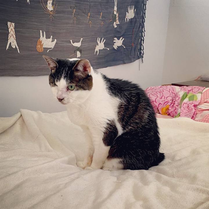 8329e989 eae8 41b6 85bc 2d4c181ca610 1623800013956