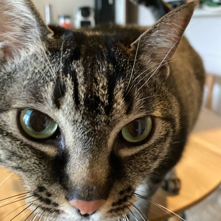 8329ed53 0a6f 4e68 a92d 6dc4708d93f4 1648255859221