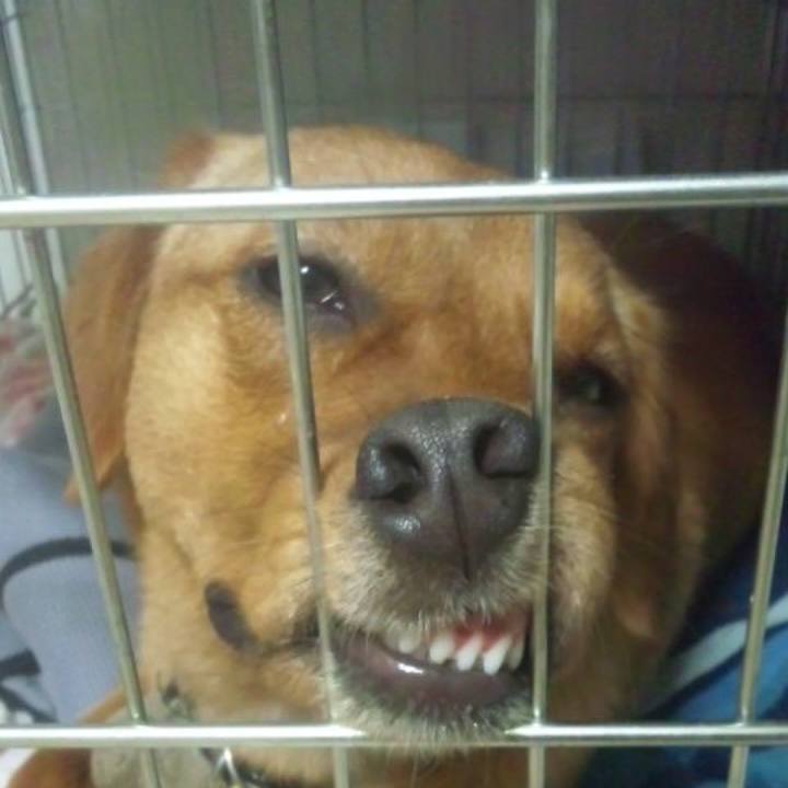 832a14fe 91bf 4221 9bd1 0814bc60306c 1521796252532