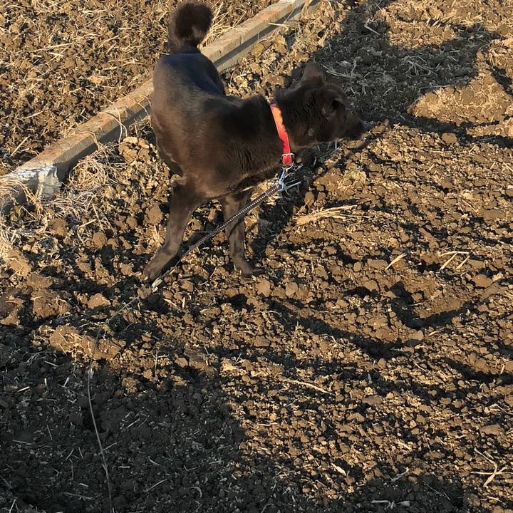 832a169f 3f02 480d a2a0 0172228a54ac 1551524561584