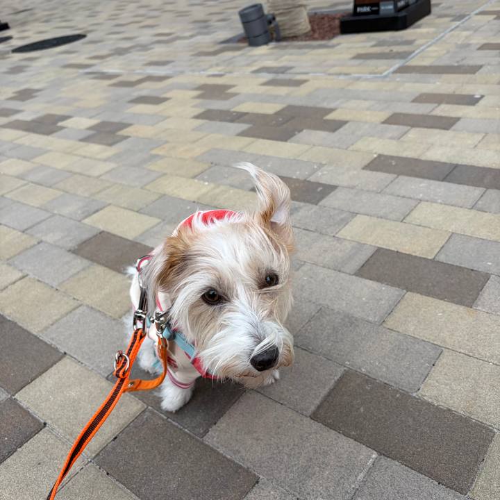 832a2e1a 8bcd 45a9 b26d 7dc51d9a3766 1768089922296