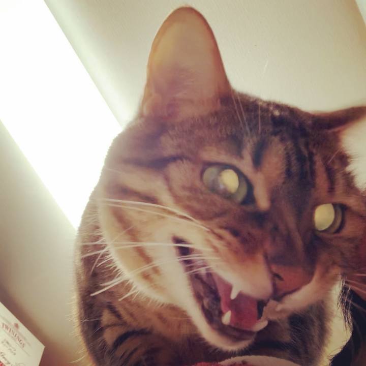 832a4dec f25a 4d7f bd24 34c6724f41e9 1553464542139