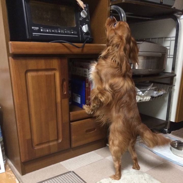 832a5070 cb17 44fd 8d8c bd6303cfdccc 1516313360292