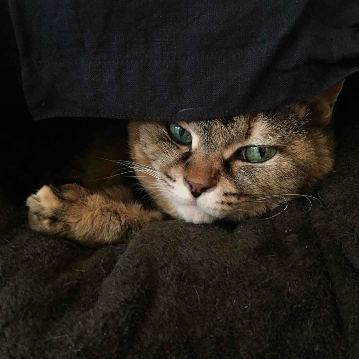 832a7056 49bf 4637 a8ab cf66d88ea3b3 1711939285227