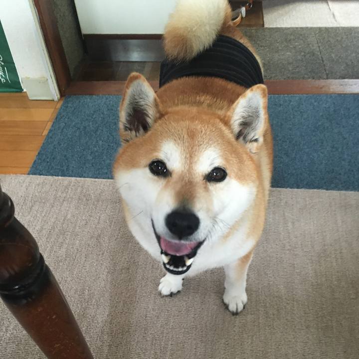 832a850e 663c 4a0c b03d 18f6d116aae9 1615513592425